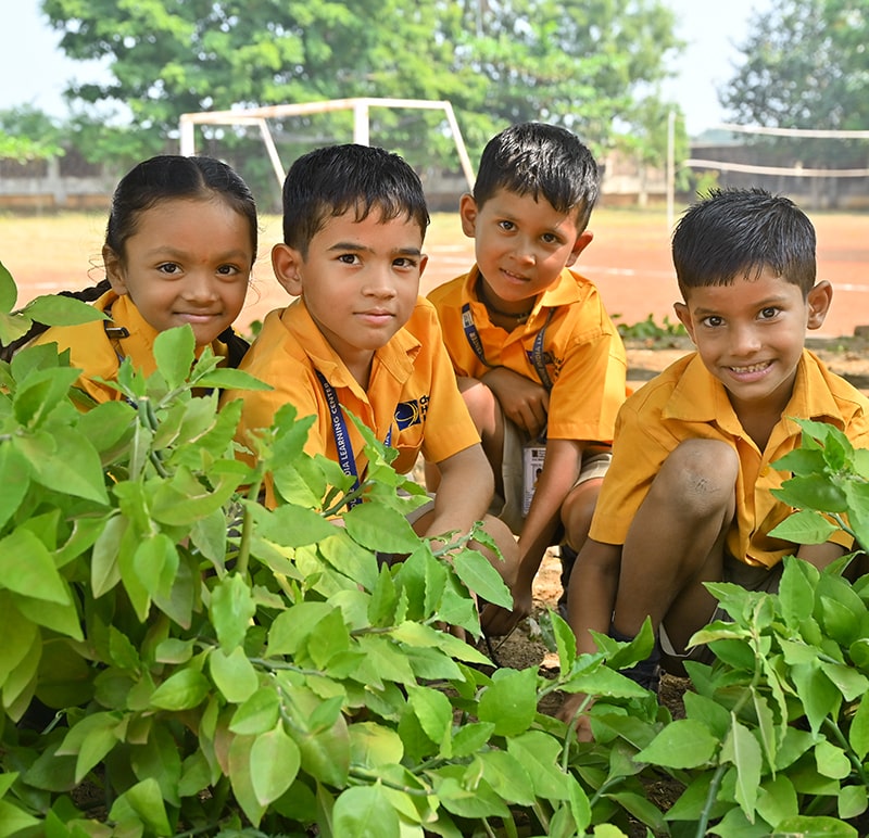 K—12 school