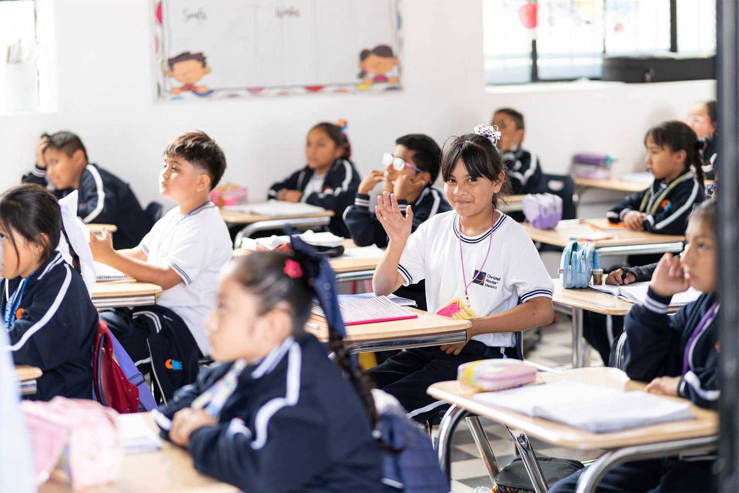 Big Ripples from Small Places: The Role Schools Play to Innovate Entire Systems Big Ripples from Small Places: The Role Schools Play to Innovate Entire Systems